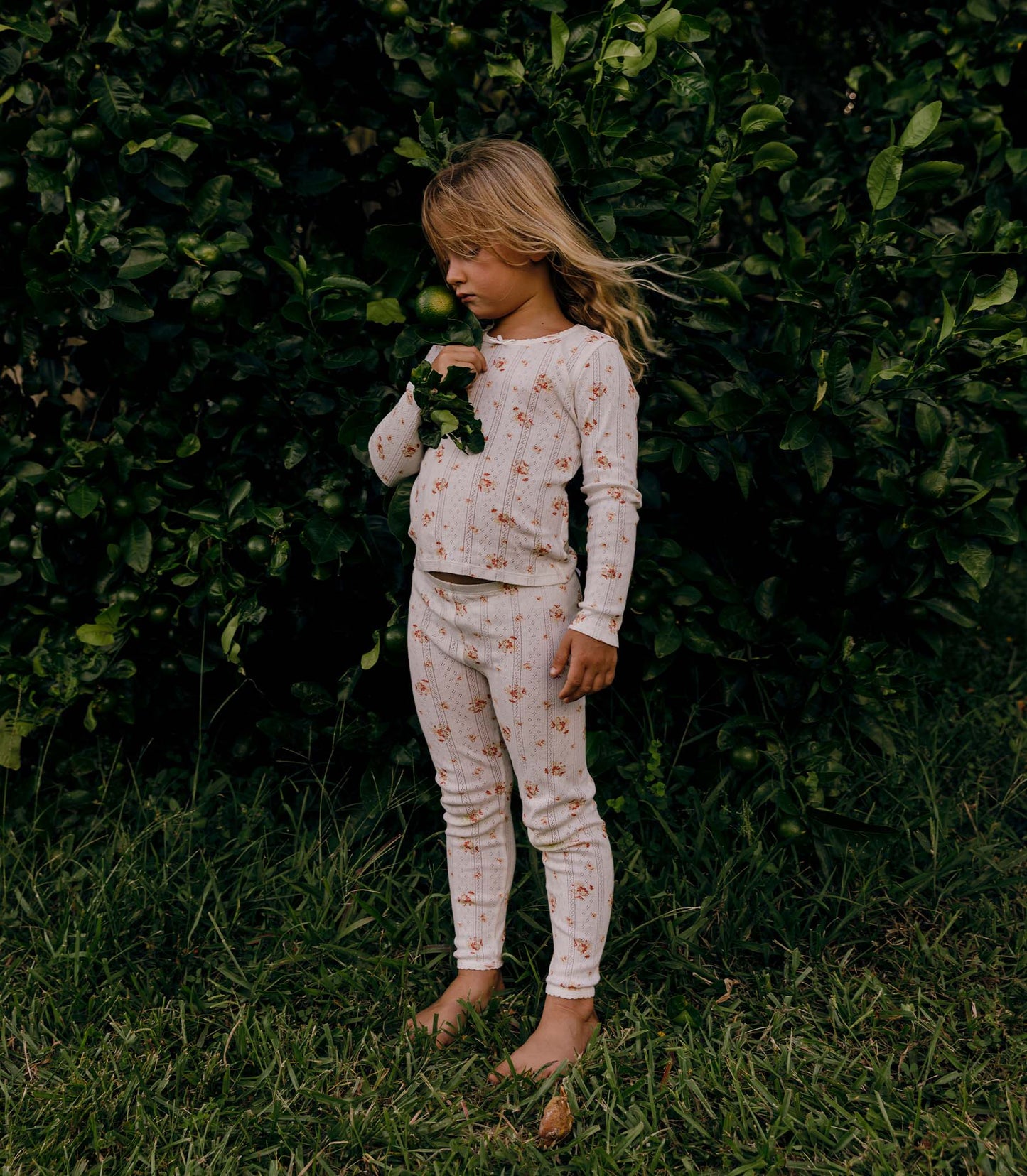 LAJOU PANT -- FRENCH MARIGOLD