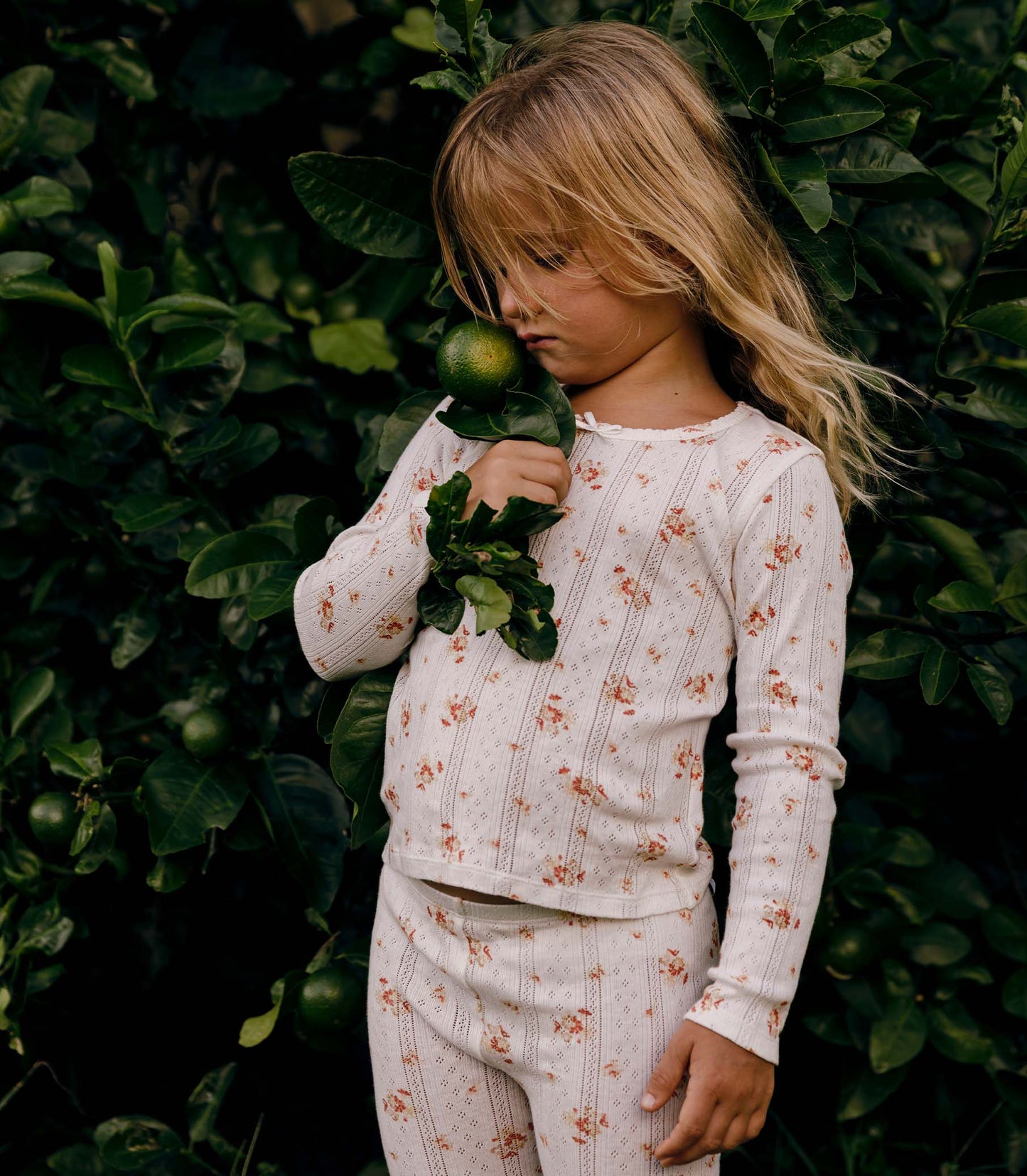 OCTAVE TEE -- FRENCH MARIGOLD